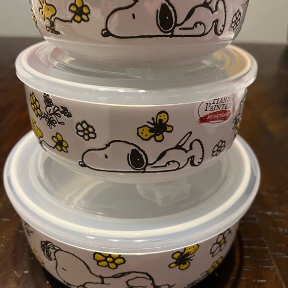 Peanuts Snoopy “Garden Fun” Nesting Bowls with Pressure Release Lids. - Picture 1 of 5